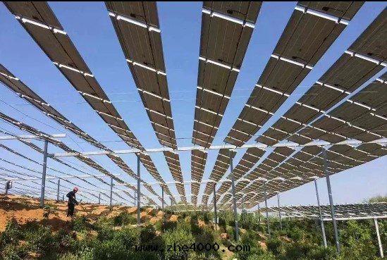 1743401203.jpg 1743401203.jpg